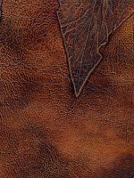 FOGLIE 2